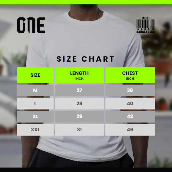 1st image description